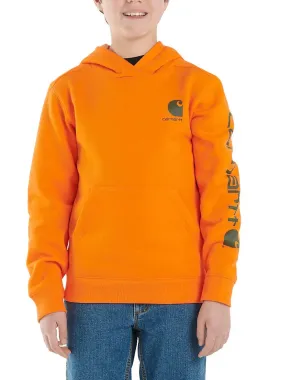 Carhartt Boys’ Long Sleeve Graphic Sweatshirt (Child/Youth)