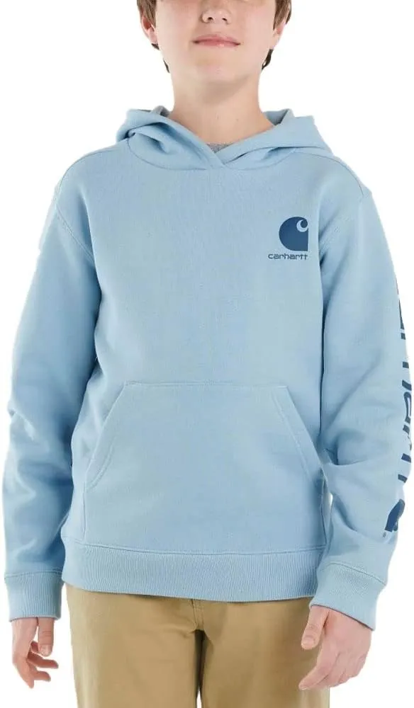 Carhartt Boys’ Long Sleeve Graphic Sweatshirt (Child/Youth)