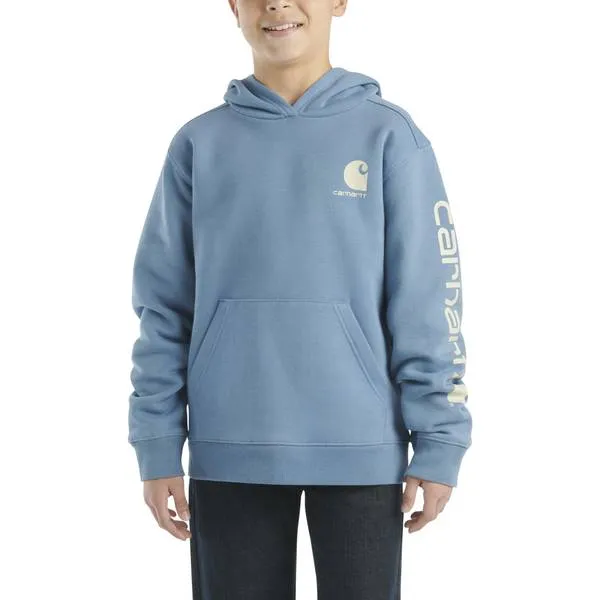 Carhartt Boys’ Long Sleeve Graphic Sweatshirt (Child/Youth)
