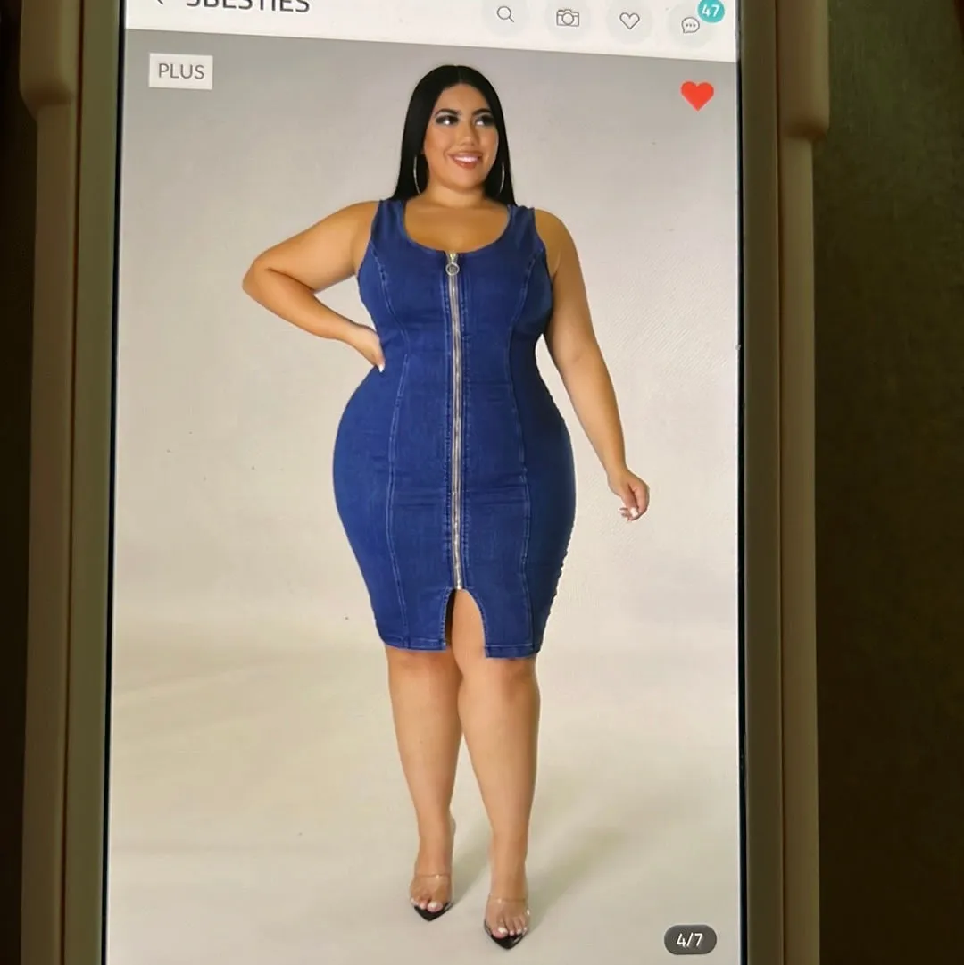 JUST ONE MORE DENIM PLUS DRESS
