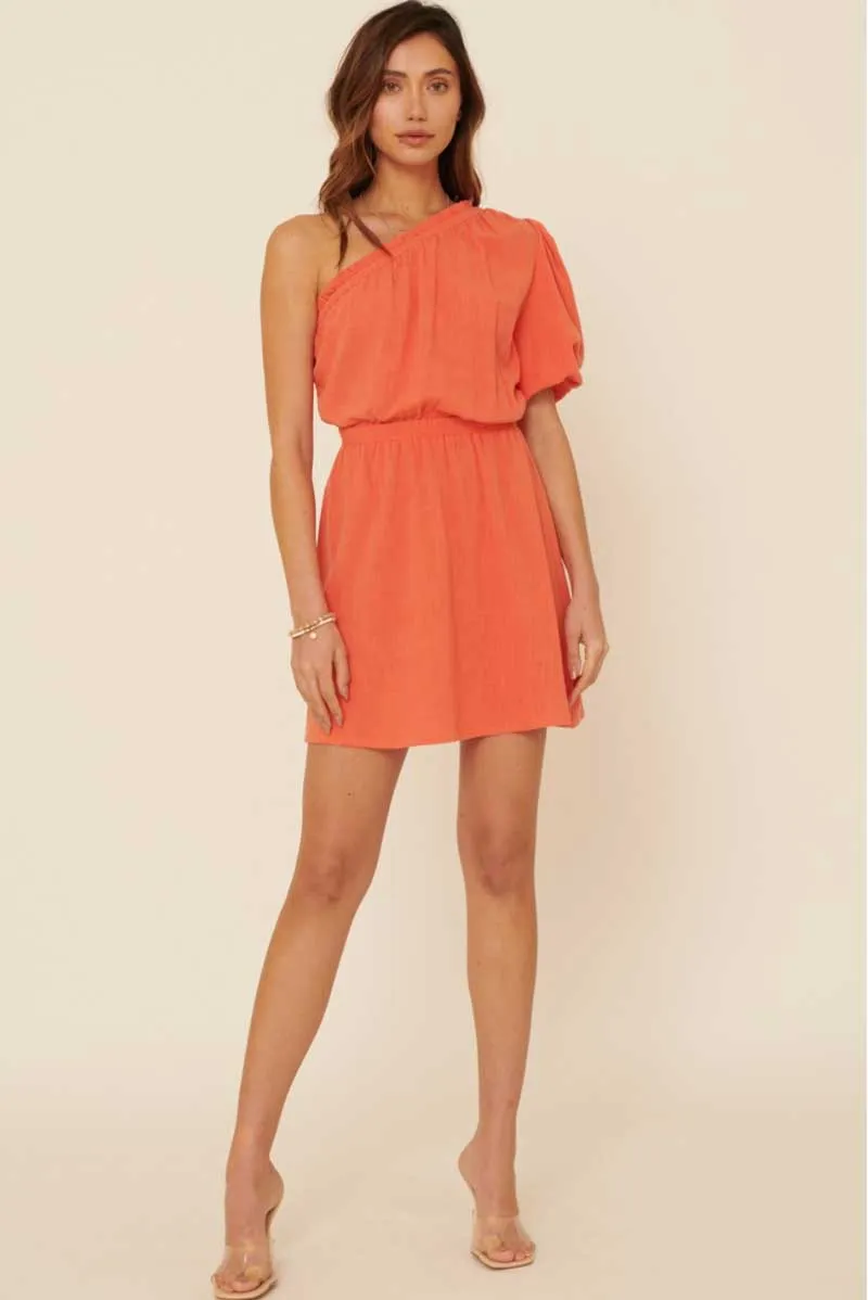 Vivid Blaze One Shoulder Dress